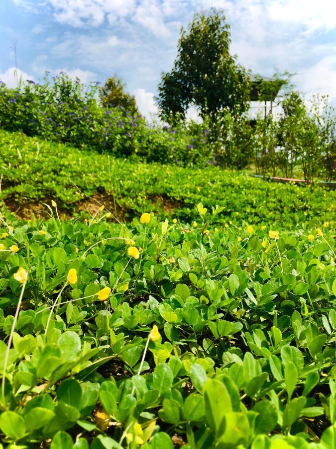 Farm stay Durian *