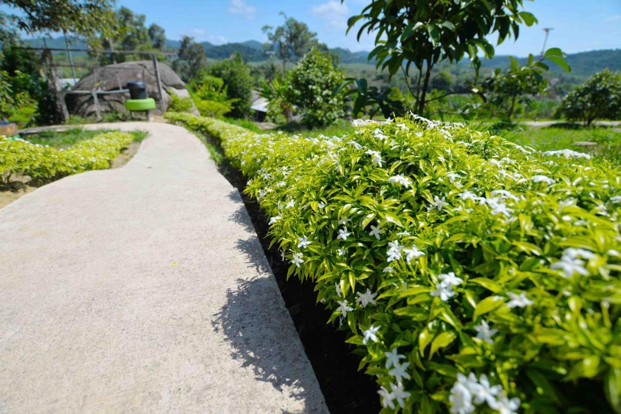 Farm stay Durian *