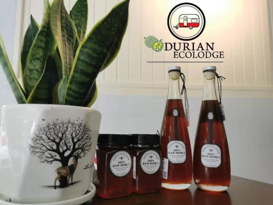 Durian Tampin