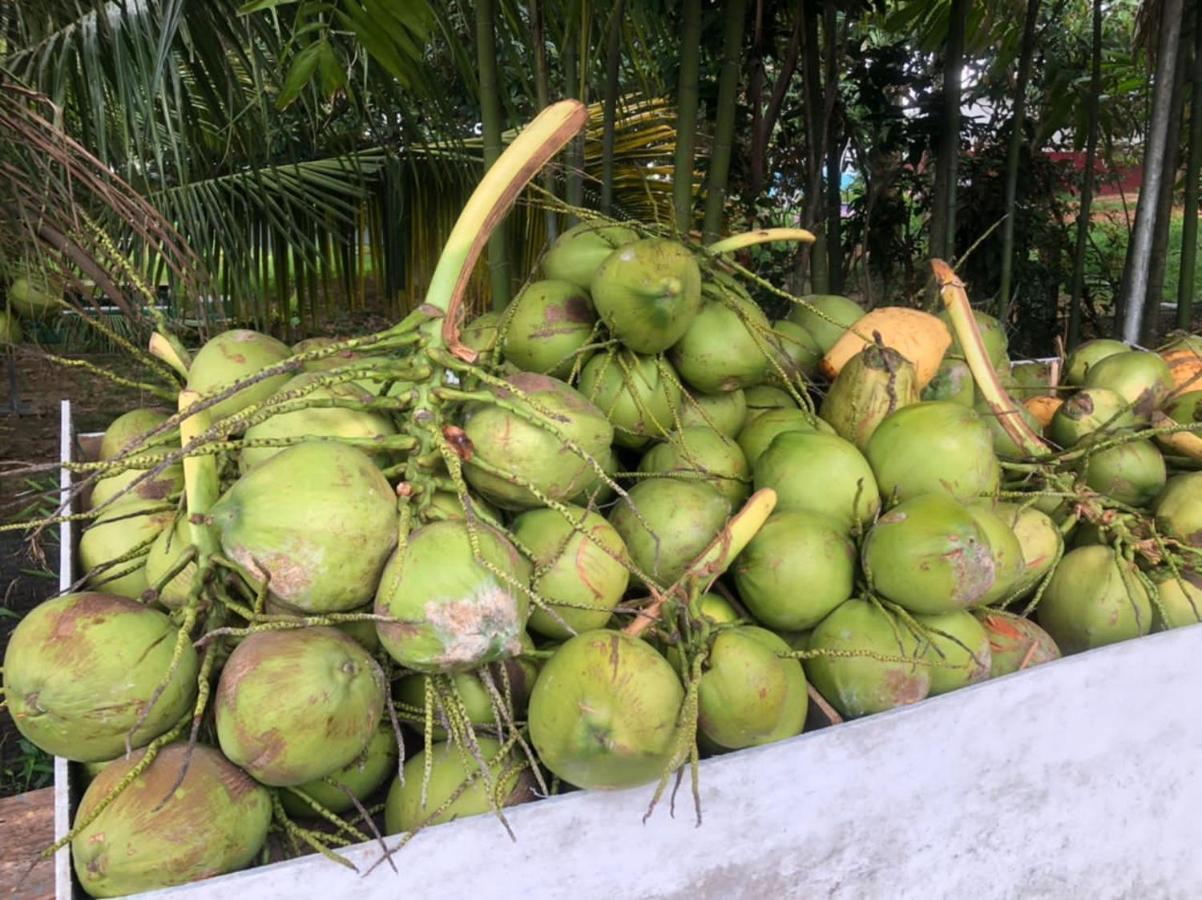 Durian *