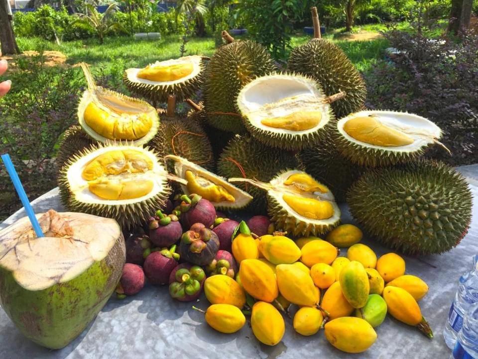 Farm stay Durian Tampin